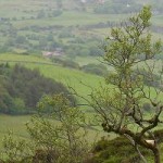 A View of the Valley